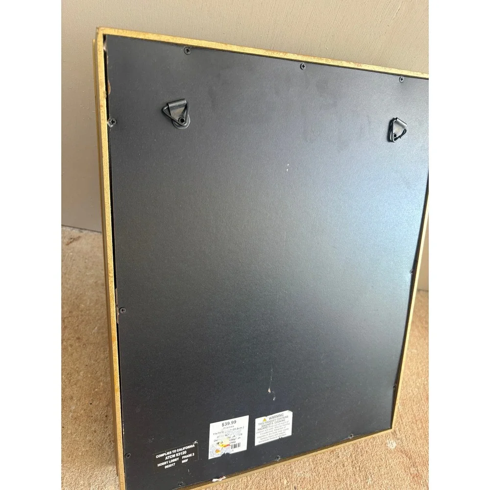 Green Tree Gallery Gold Shadow Box 11x14 Photo Display Memory Box Hobby Lobby